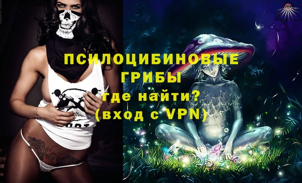 ПСИЛОЦИБИНОВЫЕ ГРИБЫ Алексин