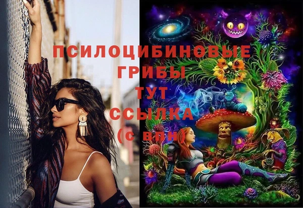 ПСИЛОЦИБИНОВЫЕ ГРИБЫ Алексин
