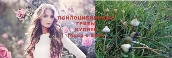 MESCALINE Алзамай